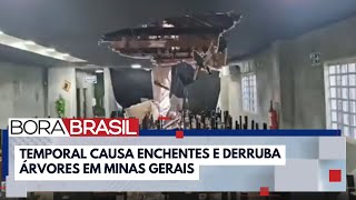 Árvore cai e destrói teto de restaurante após temporal em Uberlândia MG  Bora Brasil [upl. by Sset]