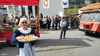 Festumzug von der agrischa 2023 aus ilanz Graubünden😎👍 [upl. by Cohberg147]