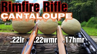 CANTALOUPES vs 22LR 22WMR 17HMR RIFLES [upl. by Rodman576]