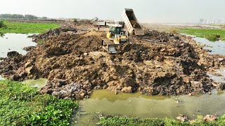 Nice Incredible Making Long Road By Dozer SHANTUI Pushing Soil With Dump Truck Unloading Soil [upl. by Ardyce]