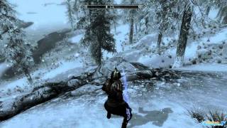 How to Dual Cast a spell in Skyrim [upl. by Eciruam]