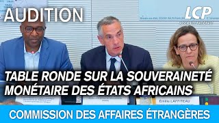 Table ronde sur la souveraineté monétaire des États africains et le devenir du franc CFA [upl. by Hunger]