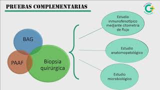 Sesión Clínica ADENOPATÍAS [upl. by Asira]