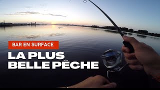 Les plateaux de moules nous rapportent du poisson  Pêche du bar du bord en estuaire [upl. by Egroeg]