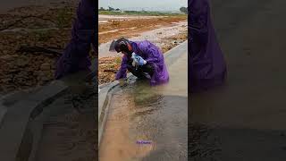 Removal Releasing Flood Of Water viral flashflood drainage satisfying [upl. by Cassidy]