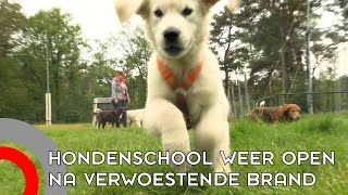 Ynske maakt een doorstart met haar hondenschool in Waalre [upl. by Babcock590]