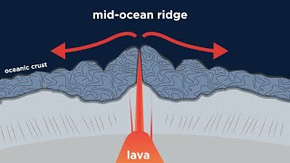 Composition of Oceanic Crust Part 2 Pillow Lava Dikes Gabbro and Peridotite [upl. by Neemsay893]