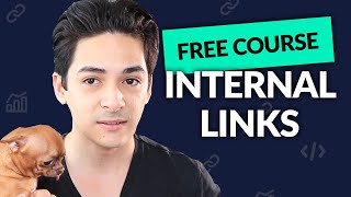 Internal Links SEO Tutorial  SEO Accelerator  Free SEO Course [upl. by Htir608]