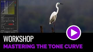 Mastering the Tone Curve in ACDSee [upl. by Ajay812]