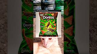 New Doritos Fried Frog Legs Flavor [upl. by Muna837]