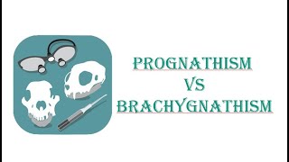 Prognathism Vs Brachygnathism Part 6  Veterinary Dentistry  BCSE [upl. by Alebasi]