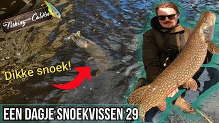 EERSTE DIKKE SNOEK VAN 2023  Een dagje snoekvissen 29 [upl. by Naxela532]