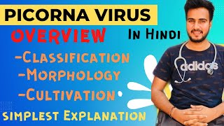 Picornavirus microbiology  overview picornavirus in Hindi [upl. by Marmion980]