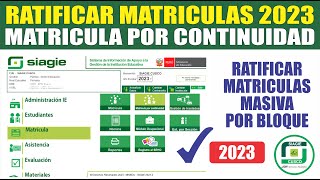 Siagie  Matricula POR CONTINUIDAD 2023  Matricular estudiantes del año 2022 al 2023 [upl. by Hgielah]