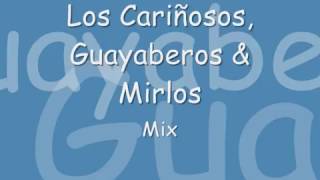 Los Cariñosos Guayaberos amp Mirlos Mix [upl. by Pam]