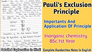 Pauli Exclusion Principle  Complete Handwritten Notes for BSc 1st Year bscnotes [upl. by Anaujat]