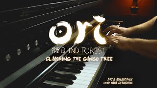 Ori and the blind Forest  Climbing the Ginso Tree Cover DKs Musicbox feat Nici Struchen [upl. by Vandervelde]