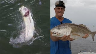 Fishing Downtown St Augustine For Redfish And Tarpon [upl. by Ocnarfnaig]