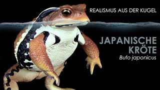 Japanische Kröte  Azuma Toad  Bufo japonicus  realistisches Modell  Gashapon Unboxing amp Review [upl. by Dela]