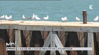 Suivez le guide  lîle de Ré [upl. by Ebbarta552]