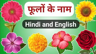 Flowers Names  Name of Flowers Hindi amp English  फूलों के नाम malindaji [upl. by Yma585]