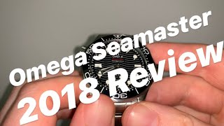 Omega Seamaster Professional 300 2018 Review [upl. by Ahsiena]