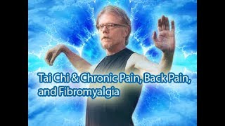 Tai Chi amp Chronic Pain Fibromyalgia and Back Issues  8 Minute Video Could Change Your Life [upl. by Iramohs]