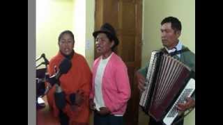 Conjunto Musical quotLos Rayos del Solquot LA FLOR DE CHIMBALITO [upl. by Annoyek517]