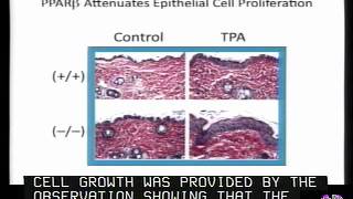 Peroxisome ProliferatorActivated Receptors PPARs Treatment amp Prevention Of Diseases [upl. by Itsyrk]