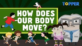 Human Body and Its Movements  Types of Joints  Class 6th Biology [upl. by Ahsenre]