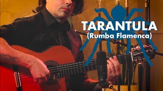 Ben Woods  Tarantula  Flamenco Guitar Ortega [upl. by Vanderhoek146]