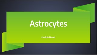 Astrocytes [upl. by Aneloc]