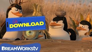 Mission Cuba  PENGUINS OF MADAGASCAR [upl. by Linkoski589]