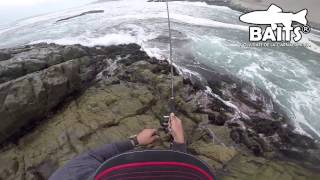 Pesca de Cabrillas con ShadBait  Iquique Chile [upl. by Azer120]