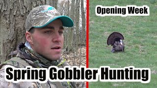 Spring Gobbler Hunting PENNSYLVANIA Opening Week [upl. by Thun]