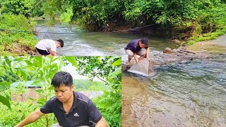 While weeding in the acacia garden the son went outside and found a TV in the stream [upl. by Isied]