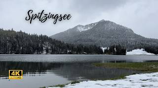 Walking in the Snow around the Mountain Lake of Spitzingsee  Germany Walking Tour  4K 60fps [upl. by Ludmilla155]