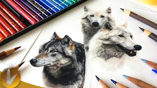 Beginning Colored Pencils Guide [upl. by Eellek]