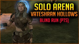 Vet Vateshran Hollows Solo Arena 🧙MagSorc🧙  Blind Run First Time  Elder Scrolls Online ESO [upl. by Neurath]