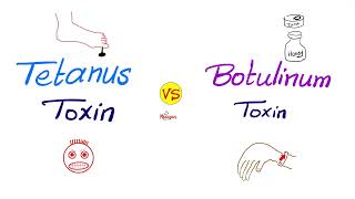 Tetanus Toxin vs Botulinum Toxin  Comparisons Series [upl. by Agace]