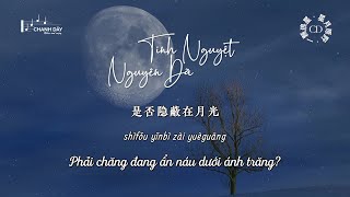 Vietsub Tinh Nguyệt Nguyên Dã 星月原野  Nhất Khỏa Lang Tinh 一颗狼星 [upl. by Amik]