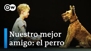 Perros y humanos  Los secretos de una amistad inquebrantable  DW Documental [upl. by Lebna855]