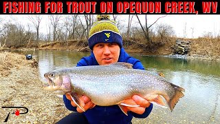 Fishing for Trout on Opequon Creek WEST VIRGINIA [upl. by Morocco910]