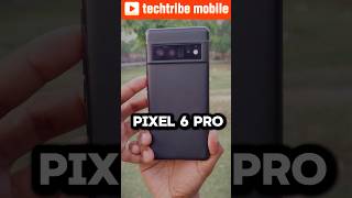 Google pixel 6 pro camera 📸😱 pixel6pro google shorts camera tech smartphones2024 review [upl. by Picardi]