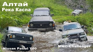 На Nissan Patrol Y60 по Алтаю Маршрут Ороктойский мост  вдоль реки Каспа  село Шабалино [upl. by Esaertal]