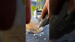 drilling into hoof horse hoof horsecare satisfying [upl. by Tneicniv940]