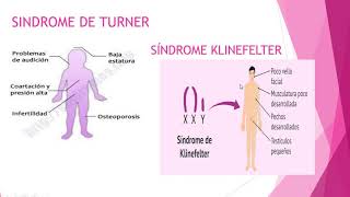 5TO SECUNDARIA BIOLOGIA ALTERACIONES CROMOSOMICAS [upl. by Alodie]