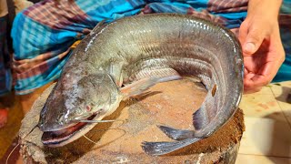 Amazing Giant Wallago Attu Catfish Boal Cutting Skills In Bangladesh Local Fish Market [upl. by Harvard]