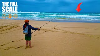 Beach Fishing With Lures For Big Salmon  The Full Scale [upl. by Esbenshade]