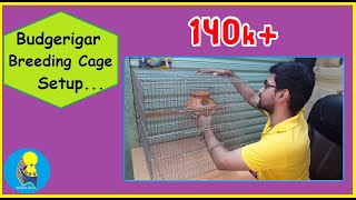 IDEAL CAGE SETUP FOR BREEDING BUDGERIGARবাজেরিগারের আদর্শ ব্রিডিং কেইজখাচা সেটআপ [upl. by Aerdnaz829]